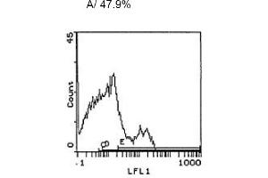 Image no. 1 for anti-CD3 (CD3) antibody (ABIN114137) (CD3 antibody)