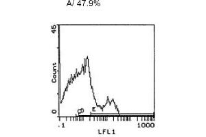 Image no. 1 for anti-CD3 (CD3) antibody (ABIN114137)