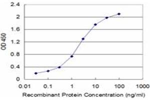 Detection limit for recombinant GST tagged EPOR is approximately 0. (EPOR antibody  (AA 31-130))