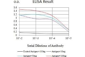 Black line: Control Antigen (100 ng),Purple line: Antigen (10 ng), Blue line: Antigen (50 ng), Red line:Antigen (100 ng) (Parkin antibody  (AA 1-144))