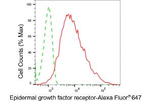 Flow cytometric analysis of epidermal growth factor receptor expression in HepG2 cells using epidermal growth factor receptor antibody (ABIN7798478), 1:2,000). (Recombinant EGFR antibody)