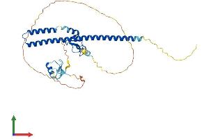 AlphaFold protein structure predicition of Human Recombinant TRIM44 Protein, UniprotID Q96DX7