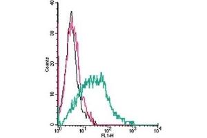 Cell surface detection of α2A-Adrenergic Receptor by indirect flow cytometry in live intact human MEG-01 megakaryocytic leukemia cells: (black line) Cells. (ADRA2A antibody  (Extracellular))