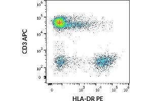 Flow cytometry multicolor surface staining pattern of human lymphocytes using anti-human CD3 (UCHT1) APC antibody (10 μL reagent / 100 μL of peripheral whole blood) and anti-human HLA-DR (L243) PE antibody (10 μL reagent / 100 μL of peripheral whole blood).
