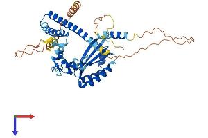 N-terminal EF-Hand Calcium Binding Protein 2 (NECAB2) (AA 1-386) protein (His tag)