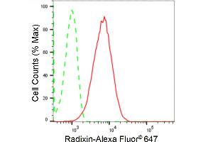Flow cytometric analysis of Radixin expression in HepG2 cells using Radixin antibody (ABIN7800123), 1:2,000). (Recombinant Radixin antibody)