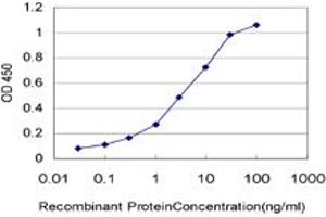 Detection limit for recombinant GST tagged HIC1 is approximately 0. (HIC1 antibody  (AA 396-453))