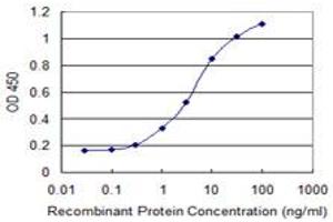 Detection limit for recombinant GST tagged CSTA is 0. (CSTA antibody  (AA 1-98))