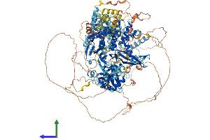 AlphaFold protein structure predicition of Human Recombinant USP6 Protein, UniprotID P35125 (USP6 Protein (AA 1-1406) (His tag))
