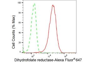 Flow cytometric analysis of Dihydrofolate reductase expression in HeLa cells using Dihydrofolate reductase antibody (ABIN7798334), 1:2,000).