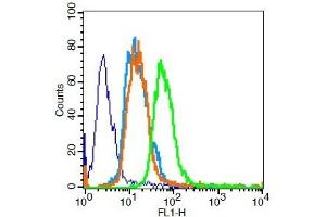 U251 cells probed with PPAR Gamma Polyclonal Antibody, Unconjugated  for 30 minutes followed by incubation with a conjugated secondary (FITC Conjugated) (green) for 30 minutes compared to control cells (blue), secondary only (light blue) and isotype control (orange). (PPARG antibody  (AA 315-420))