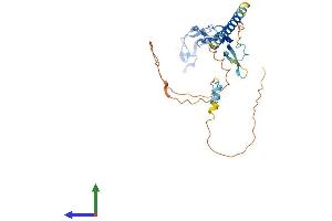 AlphaFold protein structure predicition of Human Recombinant EDA2R Protein, UniprotID Q9HAV5 (Ectodysplasin A2 Receptor Protein (EDA2R) (AA 1-297) (His tag))
