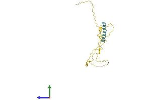 AlphaFold protein structure predicition of Human Recombinant TCEAL3 Protein, UniprotID Q969E4 (TCEAL3 Protein (AA 1-200) (His tag))