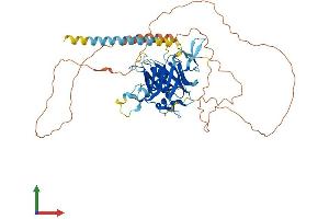 Protein Structure (PS) image for Tubby Like Protein 2 (TULP2) (AA 1-520) protein (His tag) (ABIN7544794)