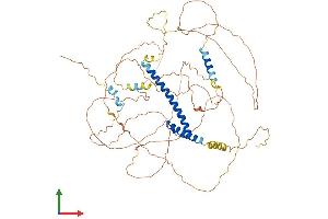 AlphaFold protein structure predicition of Mouse Recombinant Tcf3 Protein, UniprotID P15806 (TCF3 Protein (AA 1-651) (His tag))