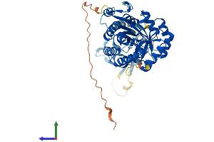 AlphaFold protein structure predicition of Mouse Recombinant Azin2 Protein, UniprotID Q8BVM4 (ADC Protein (AA 1-459) (His tag))