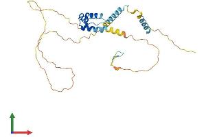 AlphaFold protein structure predicition of Human Recombinant MEIS3P1 Protein, UniprotID A6NDR6 (MEIS3P1 Protein (AA 1-274) (His tag))