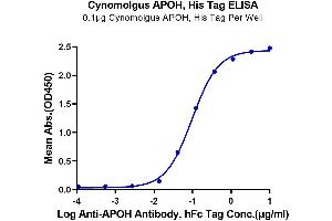 Immobilized Cynomolgus APOH, His Tag at 1 μg/mL (100 μL/well) on the plate. (APOH Protein (AA 20-345) (His tag))