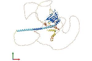AlphaFold protein structure predicition of Mouse Recombinant Tspyl2 Protein, UniprotID Q7TQI8