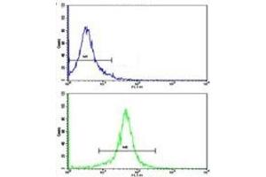 Flow Cytometry (FACS) image for anti-Actin, gamma 1 (ACTG1) (AA 188-215) antibody (ABIN3029799)