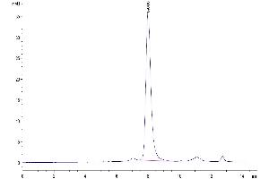 Size-exclusion chromatography-High Pressure Liquid Chromatography (SEC-HPLC) image for Leukocyte Immunoglobulin-Like Receptor, Subfamily B (With TM and ITIM Domains), Member 2 (LILRB2) (AA 22-458) protein (His-Avi Tag) (ABIN7275187)