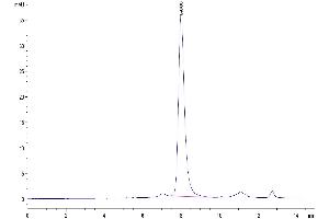 The purity of Human LILRB2 is greater than 95 % as determined by SEC-HPLC. (LILRB2 Protein (AA 22-458) (His-Avi Tag))