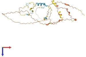 AlphaFold protein structure predicition of Human Recombinant POM121L12 Protein, UniprotID Q8N7R1 (POM121L12 Protein (AA 1-296) (His tag))