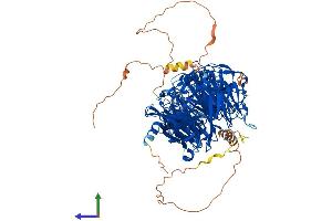 AlphaFold protein structure predicition of Mouse Recombinant Llgl2 Protein, UniprotID Q3TJ91