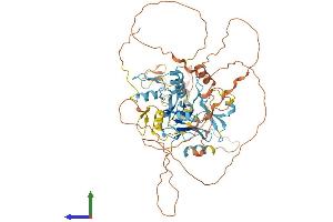 AlphaFold protein structure predicition of Mouse Recombinant Prdm6 Protein, UniprotID Q3UZD5 (PRDM6 Protein (AA 1-596) (His tag))