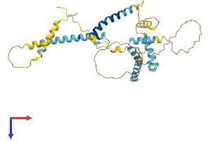 Protein Structure (PS) image for Stimulated By Retinoic Acid 8 (STRA8) (AA 1-330) protein (His tag) (ABIN7544038)