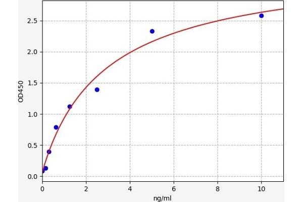 TOMM20 ELISA Kit