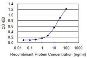Detection limit for recombinant GST tagged PDE8A is 0. (PDE8A antibody  (AA 32-121))