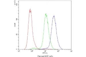 Flow cytometry testing of human A431 cells with PLIN1 antibody at 1ug/10^6 cells (blocked with goat sera) (PLIN1 antibody)