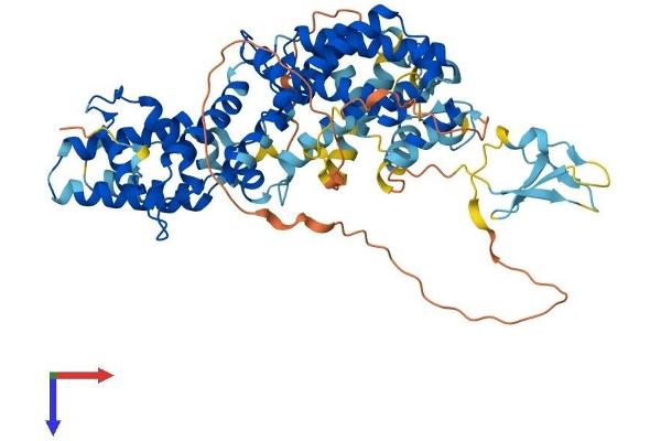 RASGRP2 Protein (AA 1-608) (His tag)