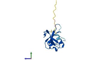 AlphaFold protein structure predicition of Human Recombinant CDPF1 Protein, UniprotID Q6NVV7 (CDPF1 Protein (AA 1-123) (His tag))