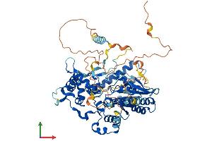 Protein Structure (PS) image for Guanine Nucleotide Binding Protein Like Protein 1 (GNL1) (AA 1-607) protein (His tag) (ABIN7548079)