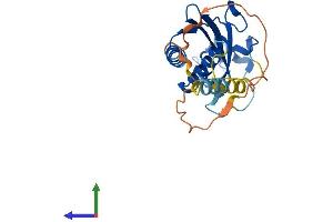 AlphaFold protein structure predicition of Human Recombinant RTP3 Protein, UniprotID Q9BQQ7