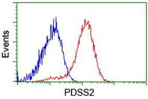 Flow cytometric Analysis of Hela cells, using anti-PDSS2 antibody (ABIN2455301), (Red), compared to a nonspecific negative control antibody, (Blue). (PDSS2 antibody)