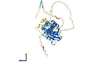 Protein Structure (PS) image for Dual Specificity Phosphatase 6 (DUSP6) (AA 1-381) protein (His tag) (ABIN7547279)