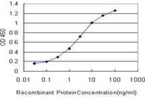 Detection limit for recombinant GST tagged ATRX is approximately 0. (ATRX antibody  (AA 2311-2410))