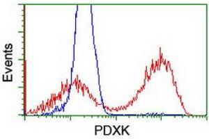 HEK293T cells transfected with either RC200975 overexpress plasmid (Red) or empty vector control plasmid (Blue) were immunostained by anti-PDXK antibody (ABIN2454646), and then analyzed by flow cytometry. (PDXK antibody)