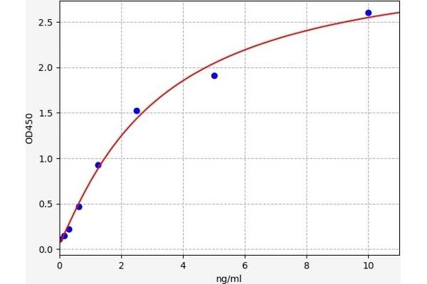 Monoamine Oxidase A ELISA Kit