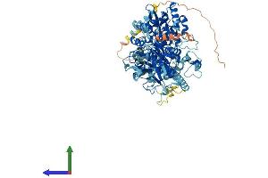AlphaFold protein structure predicition of Mouse Recombinant Extl3 Protein, UniprotID Q9WVL6 (EXTL3 Protein (AA 1-918) (His tag))