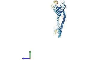 Protein Structure (PS) image for Tripartite Motif Containing 34 (TRIM34) (AA 1-488) protein (His tag) (ABIN7544716)