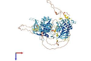 RAD54B Protein (AA 1-886) (His tag)