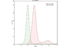 Detection of GYPC in K562 human chronic myelogenous leukemia cell line using Anti-Glycophorin C (GYPC) Polyclonal Antibody (CD236/GYPC antibody  (AA 1-128))