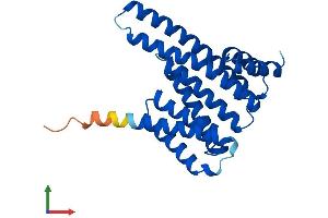 AlphaFold protein structure predicition of Human Recombinant YWHAZ Protein, UniprotID P63104 (14-3-3 zeta Protein (YWHAZ) (AA 1-245) (His tag))