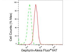 Flow cytometric analysis of Gephyrin expression in HT- cells using Gephyrin antibody (ABIN7798712), 1:2,000). (Recombinant Gephyrin antibody)