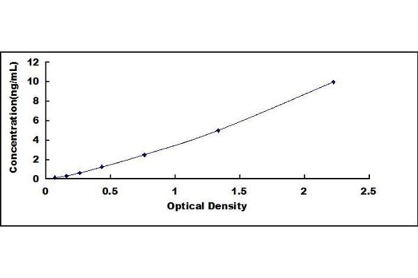 RGS7 ELISA Kit