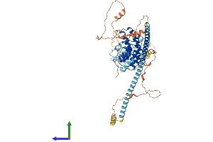AlphaFold protein structure predicition of Human Recombinant POTED Protein, UniprotID Q86YR6 (POTED Protein (AA 1-584) (His tag))